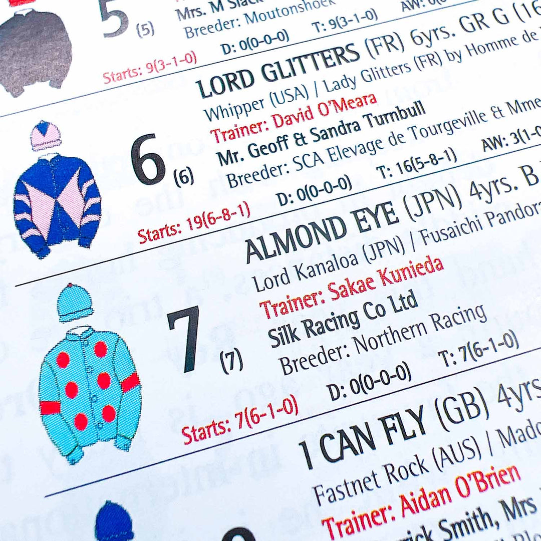 All eyes on Japan’s Almond Eye ドバイでの輝き|アーモンドアイとの4年間(4)