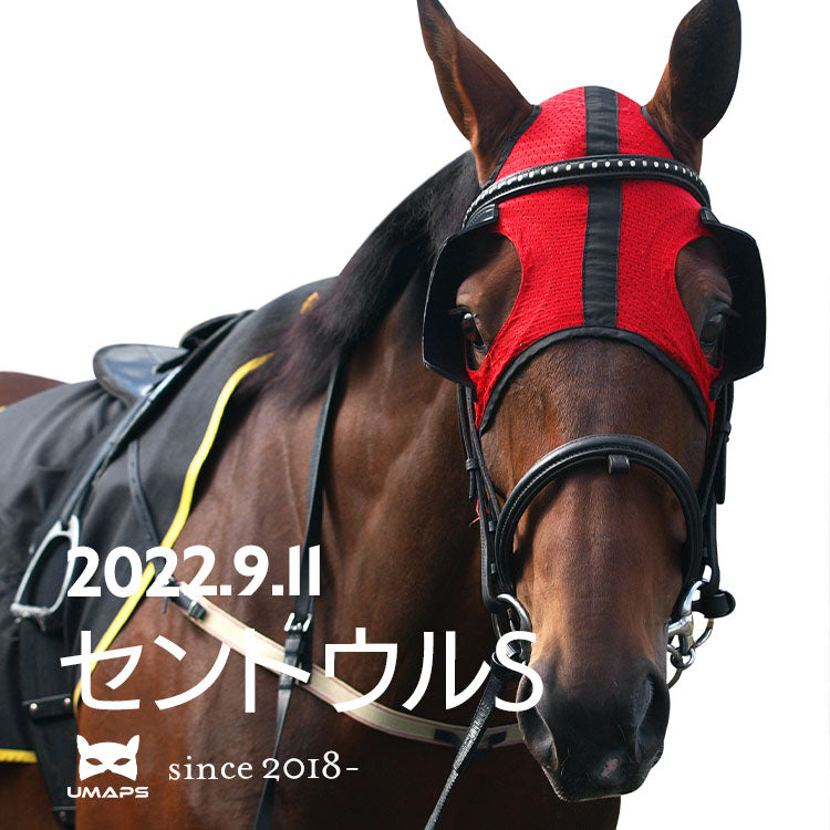 セントウルS（G2）2022年9月11日｜◎メイケイエール１着, ◯ファストフォース２着, サンライズオネスト３着｜UMAPS重賞分析