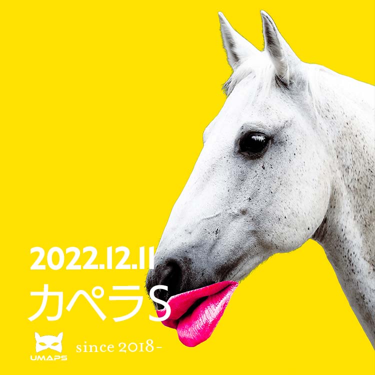 カペラS（G3）2022年12月11日｜リメイク１着, ◯リュウノユキナ２着, △ジャスティン３着｜UMAPS重賞分析