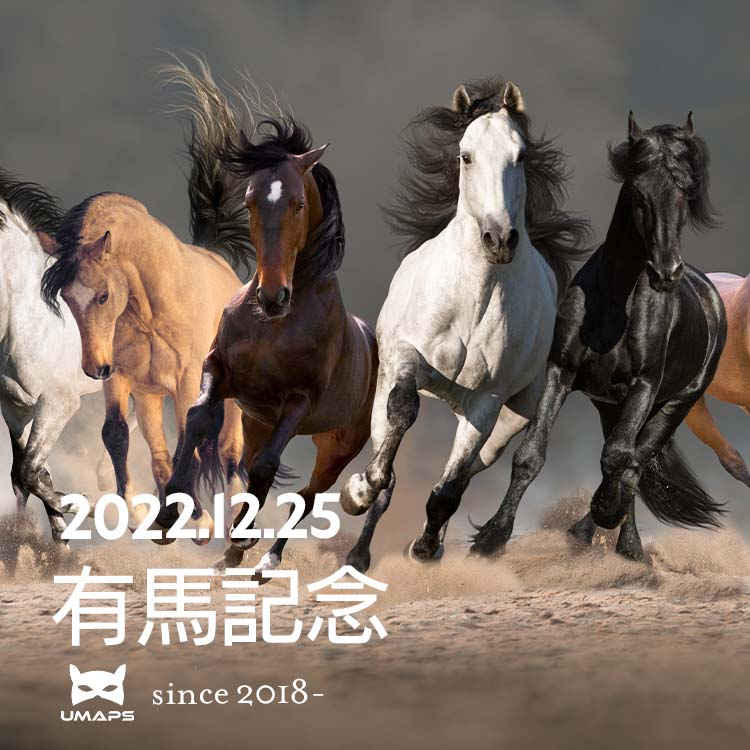 有馬記念（G1）2022年12月25日｜◯イクイノックス１着, ボルドグフーシュ２着, ジェラルディーナ３着｜UMAPS重賞分析