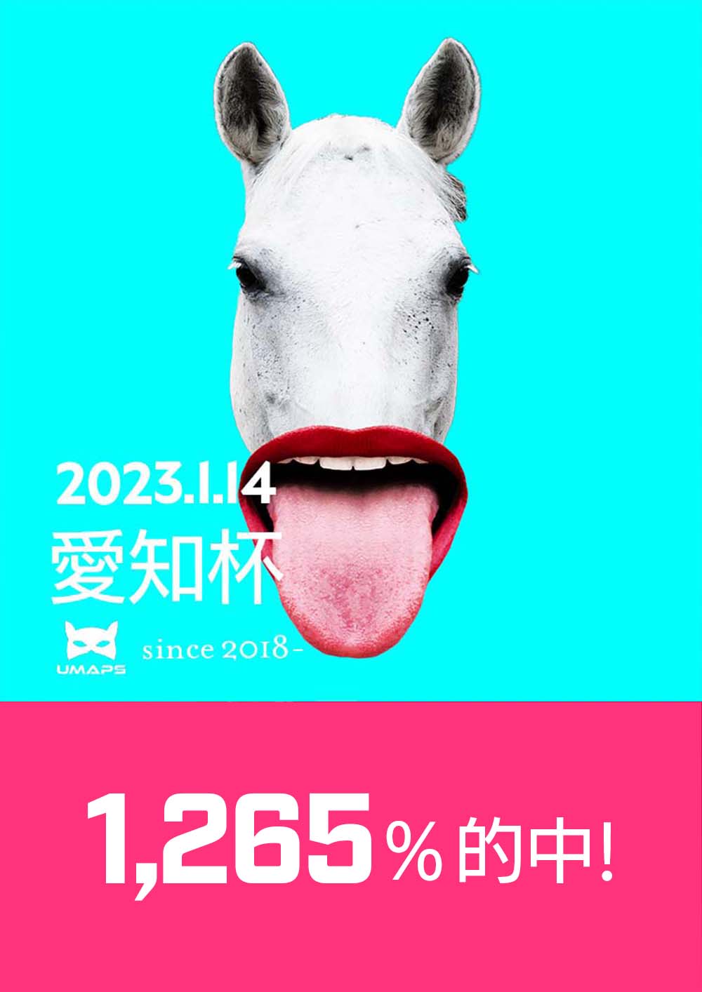 1,265%的中｜愛知杯（G3）2023年1月14日｜注アートハウス１着, ◎アイコンテーラー２着, ▲マリアエレーナ３着｜UMAPS重賞分析