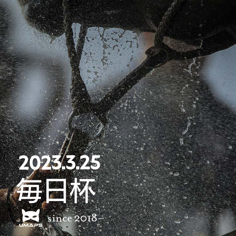 毎日杯（G3）2023年3月25日｜シーズンリッチ１着, ノッキングポイント２着, ドットクルー３着｜UMAPS重賞分析