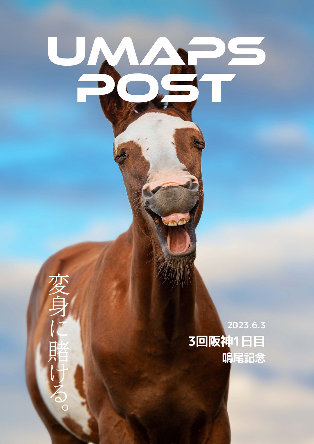 UMAPS POST＊PDF競馬新聞｜3回阪神1日目 - 2023年6月3日 - 鳴尾記念(G3)