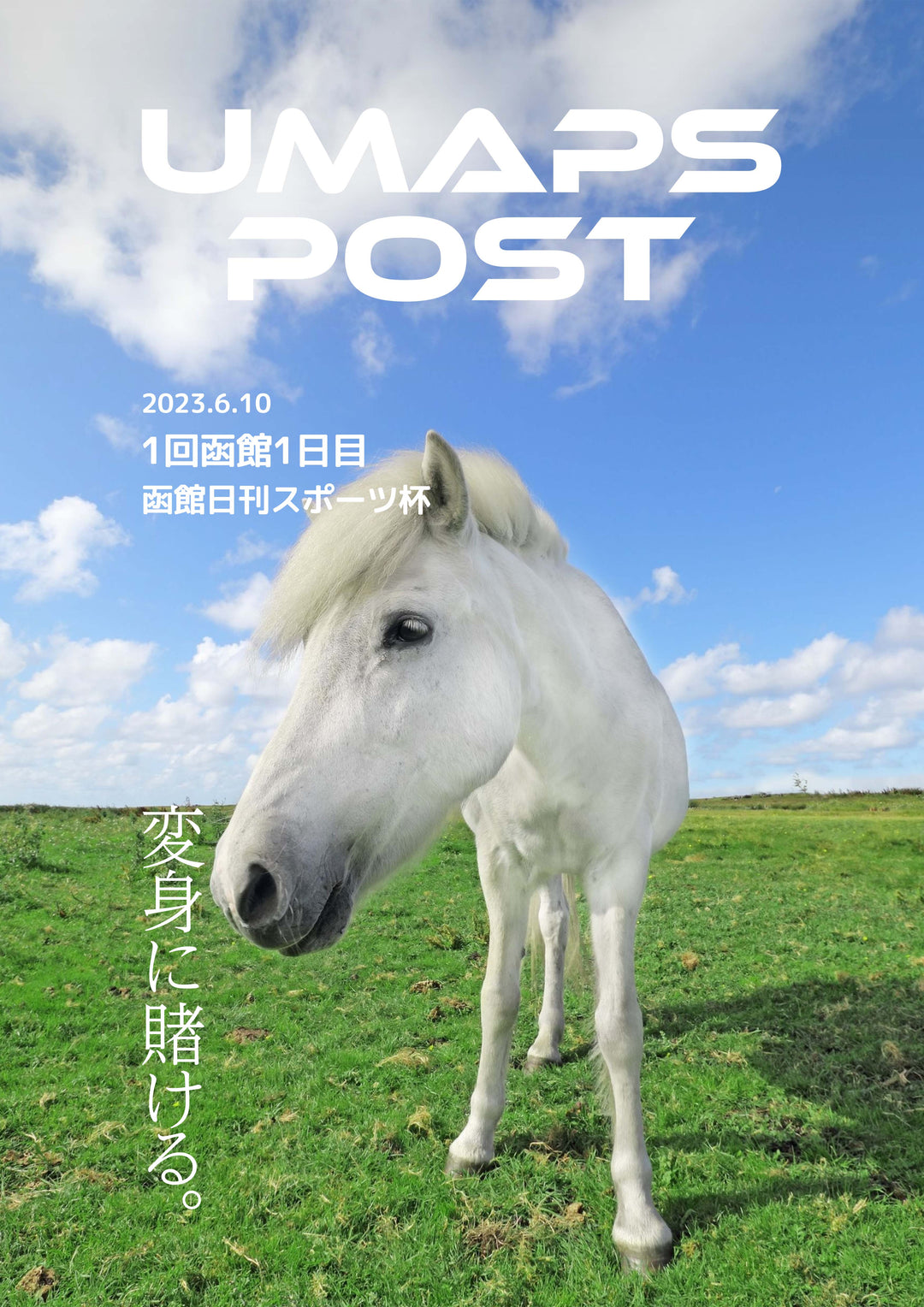 UMAPS POST＊PDF競馬新聞｜1回函館1日目 - 2023年6月10日 - 函館日刊スポーツ杯