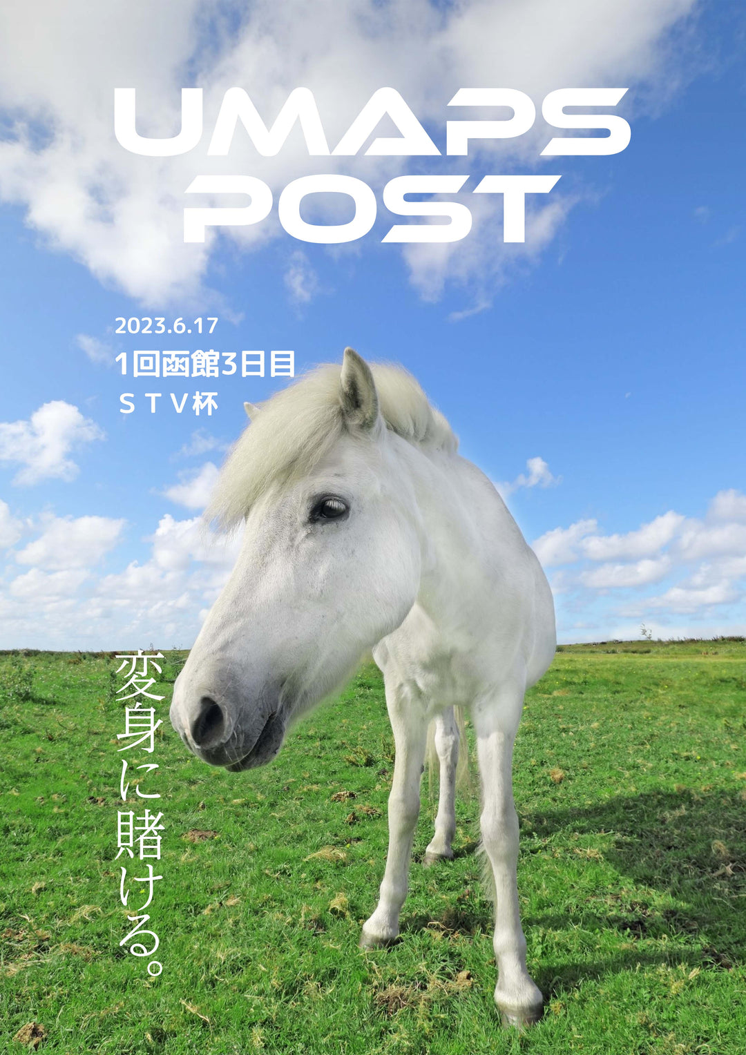 UMAPS POST＊PDF競馬新聞｜1回函館3日目 - 2023年6月17日 - ＳＴＶ杯