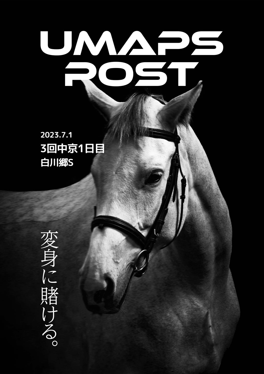 UMAPS POST＊PDF競馬新聞｜3回中京1日目 - 2023年7月1日 - 白川郷ステークス