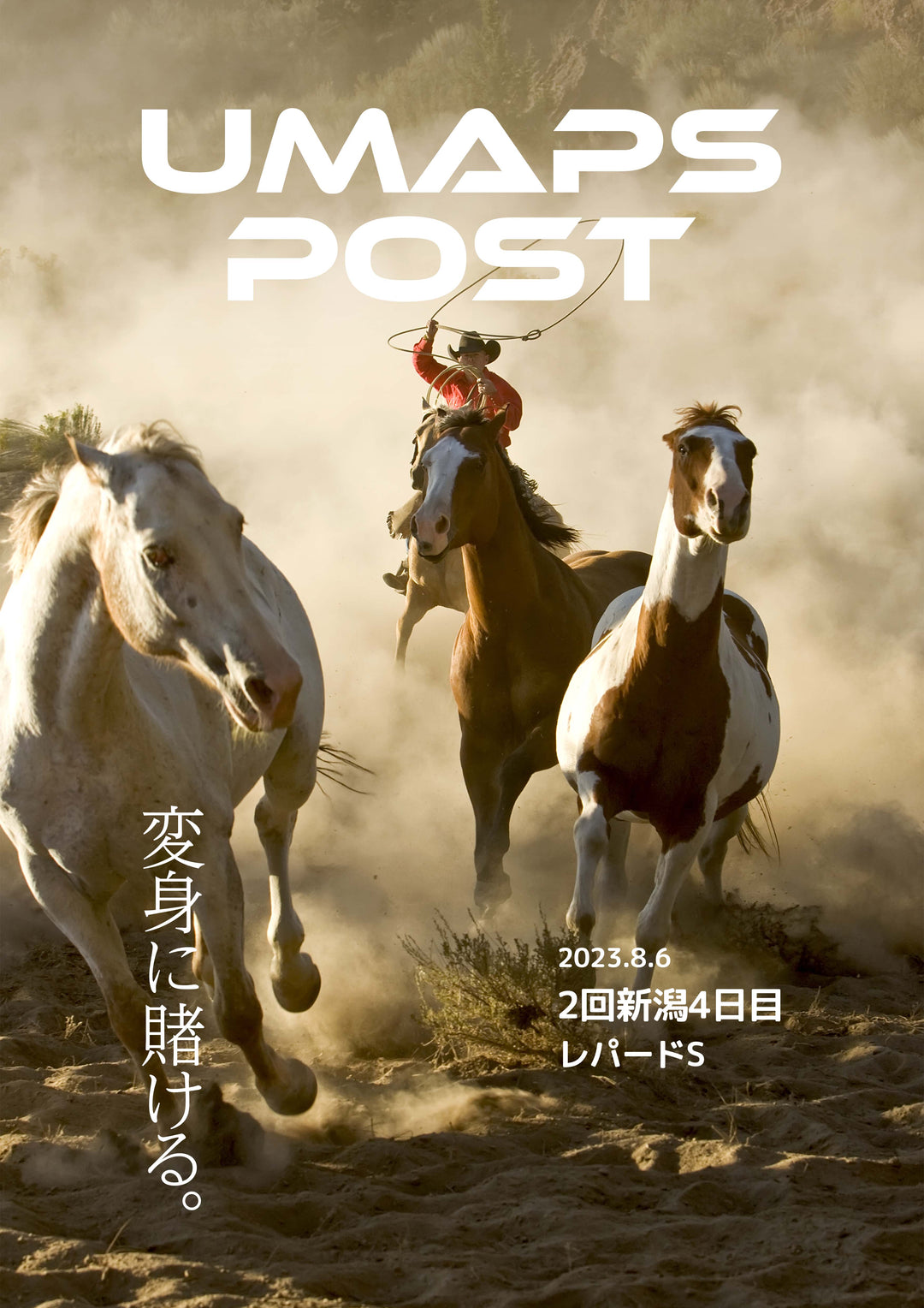 2回新潟4日目 - 2023年8月6日 - レパードステークス｜UMAPS POST〔PDF競馬新聞〕