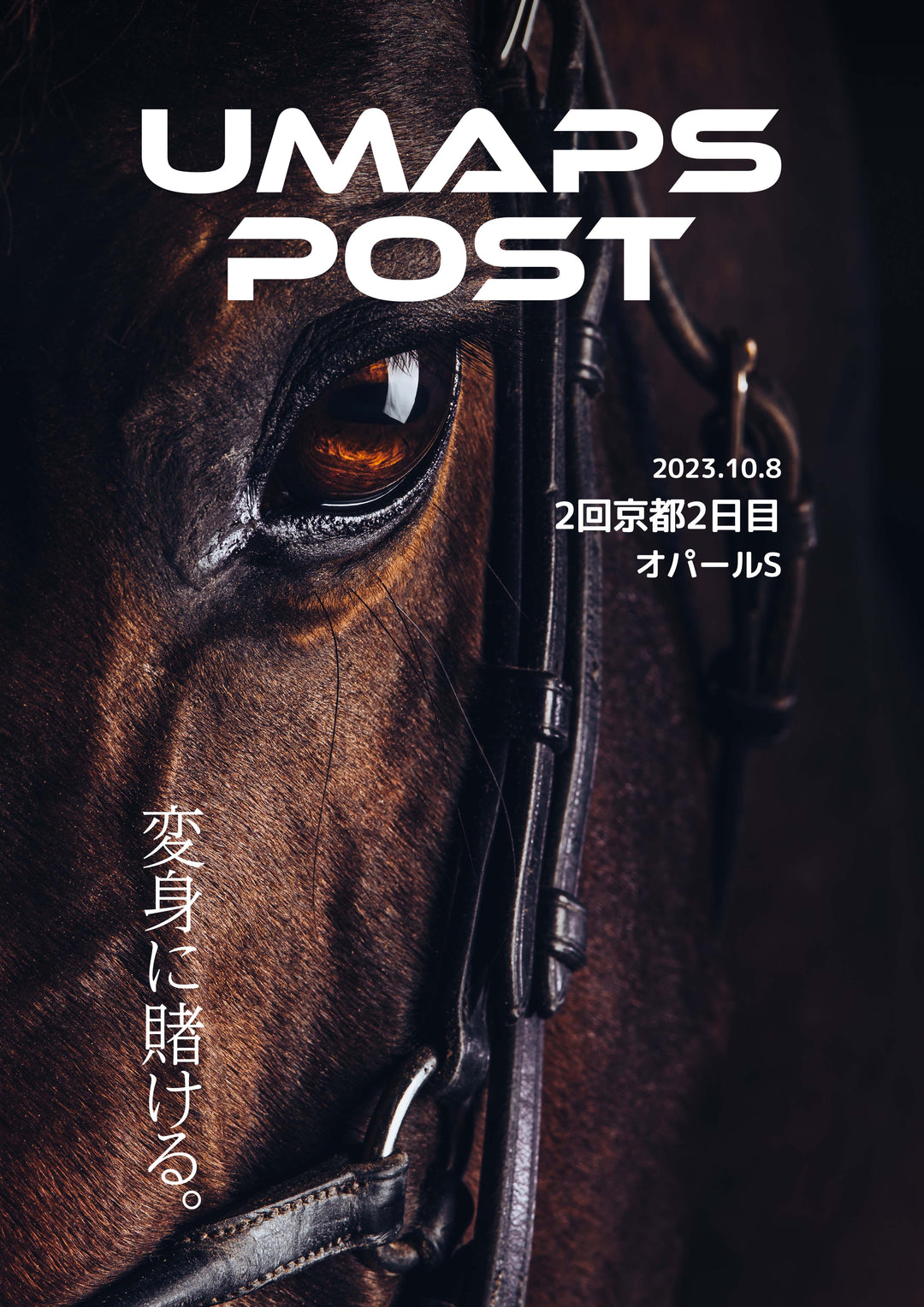 2回京都2日目 - 2023年10月8日 - 夕刊フジ杯オパールＳ｜UMAPS POST〔PDF競馬新聞〕