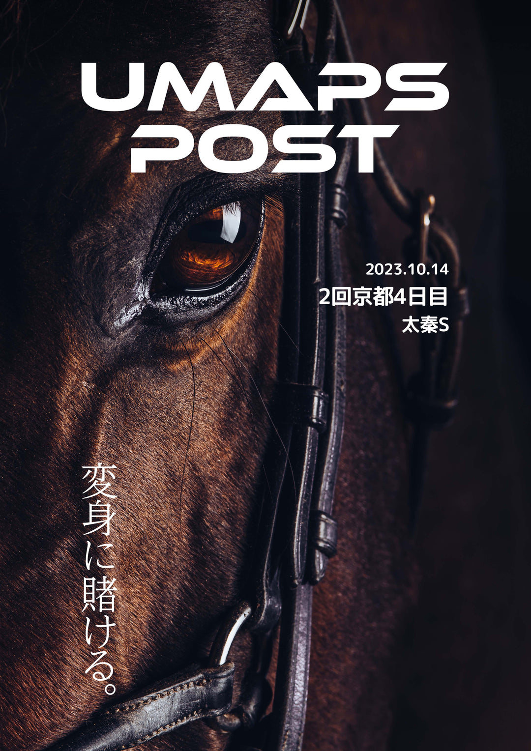 2回京都4日目 - 2023年10月14日 - 太秦ステークス｜UMAPS POST〔PDF競馬新聞〕