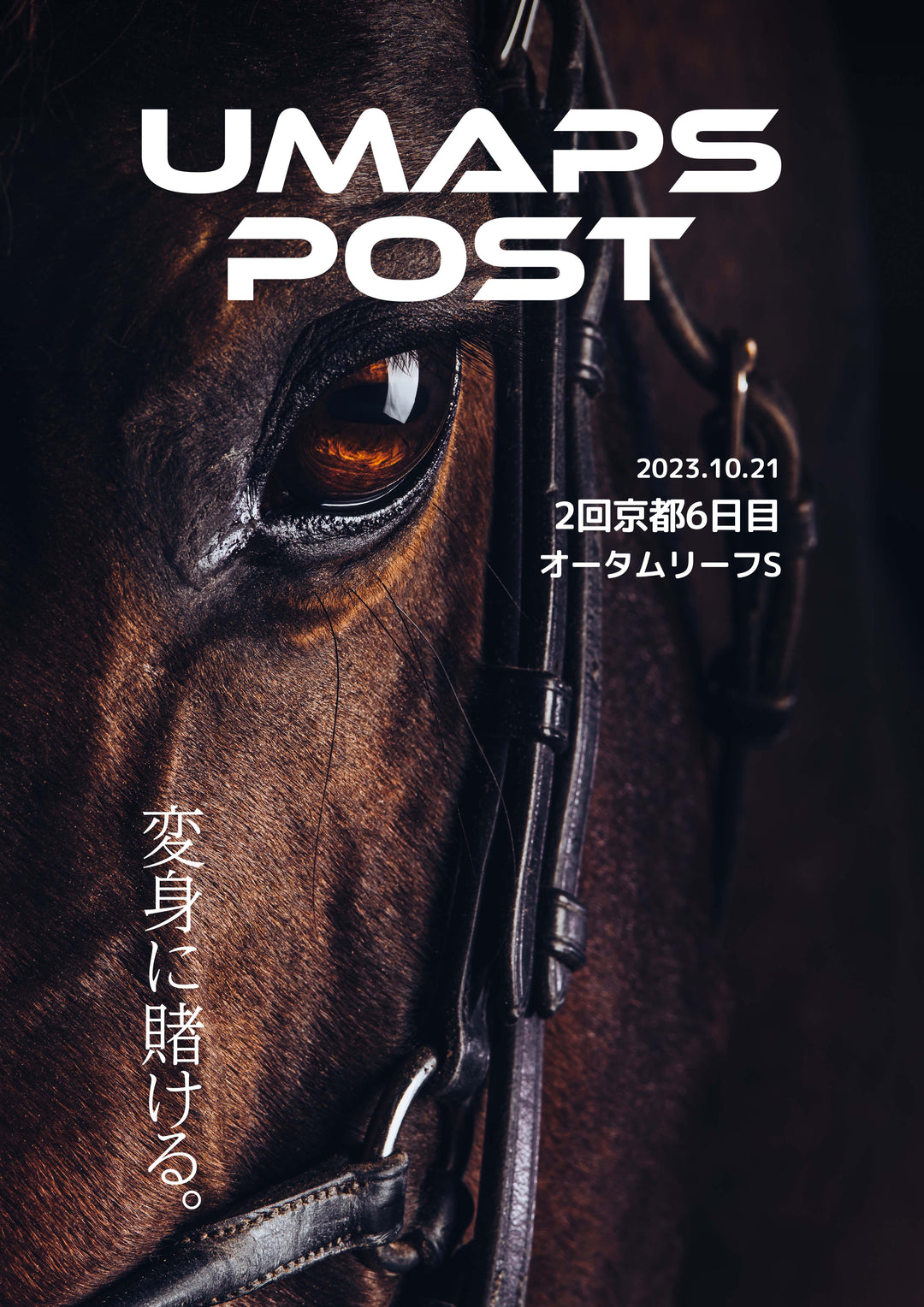 2回京都6日目 - 2023年10月21日 - オータムリーフＳ｜UMAPS POST〔PDF競馬新聞〕