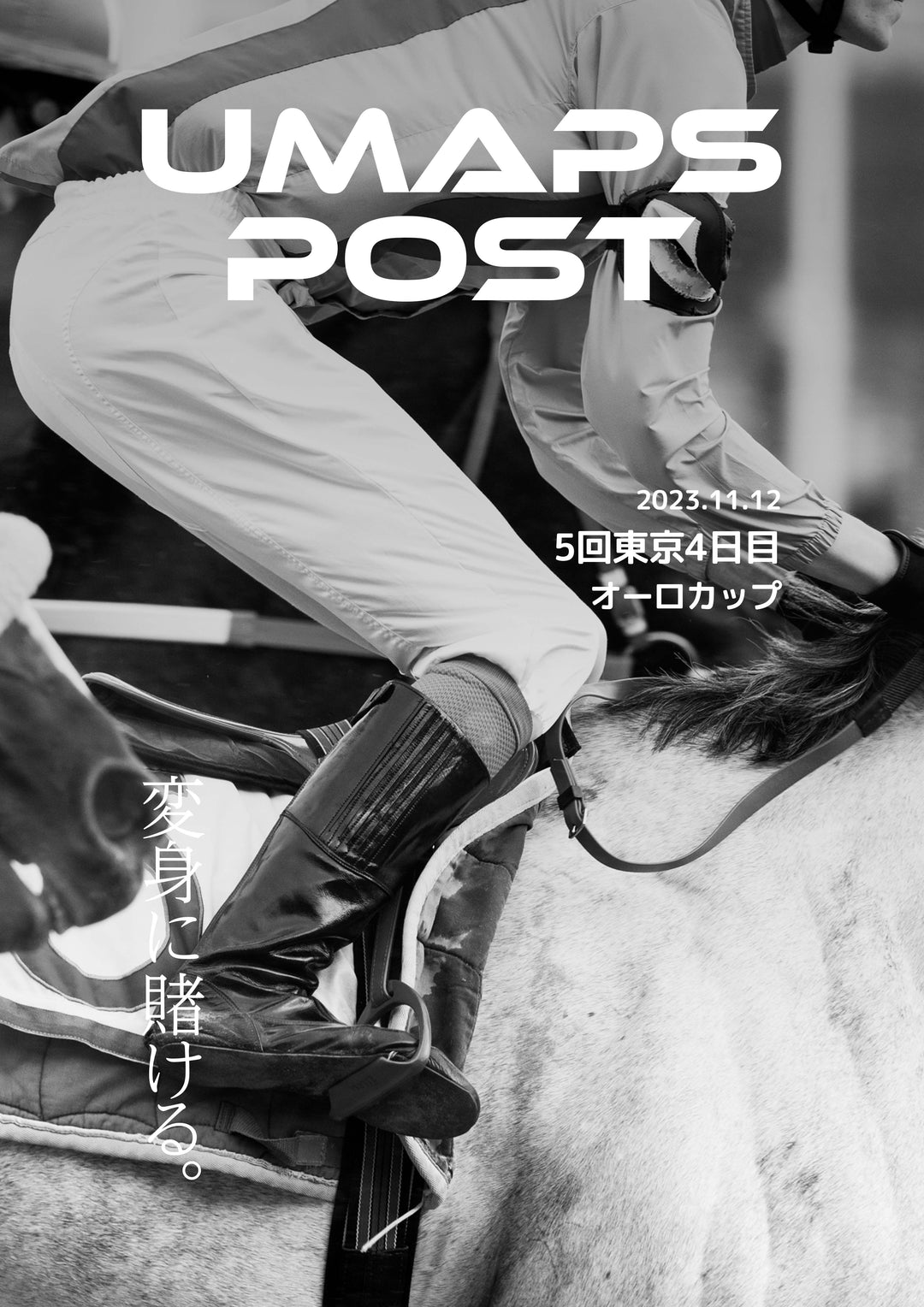 5回東京4日目 - 2023年11月12日 - オーロカップ｜UMAPS POST〔PDF競馬新聞〕