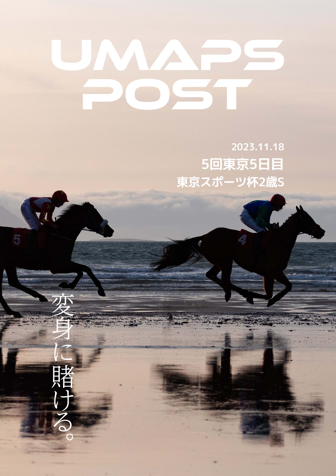 5回東京5日目 - 2023年11月18日 - 東京スポーツ杯２歳Ｓ｜UMAPS POST〔PDF競馬新聞〕