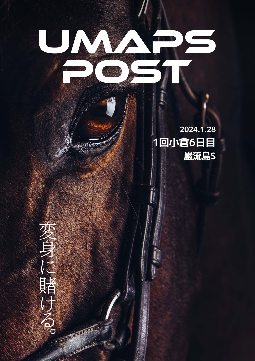 1回小倉6日目 - 2024年1月28日 - 巌流島ステークス｜UMAPS POST〔PDF競馬新聞〕スピード指数馬柱