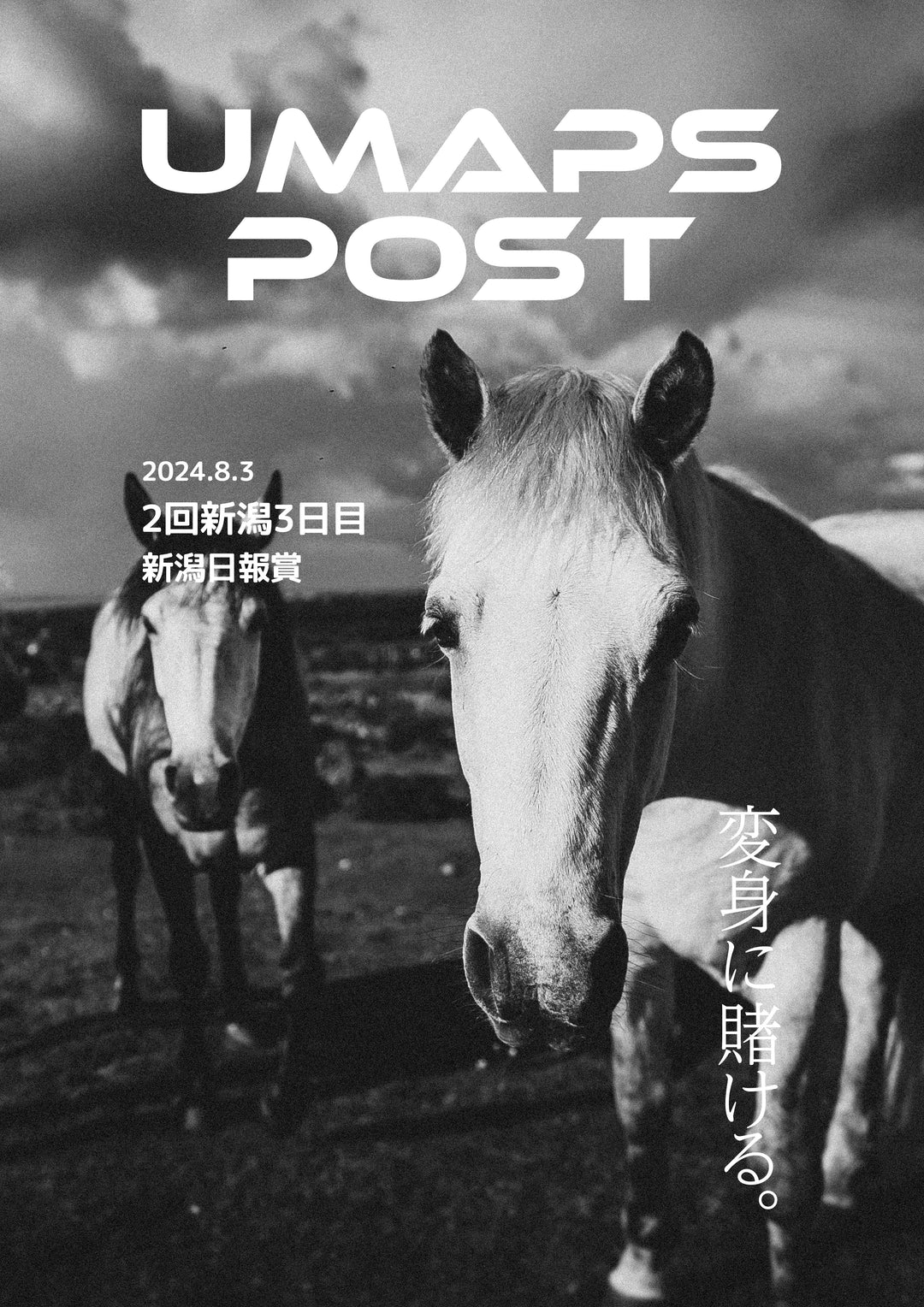 2024年8月3日 - 新潟｜UMAPS POST〔PDF競馬新聞〕スピード指数馬柱