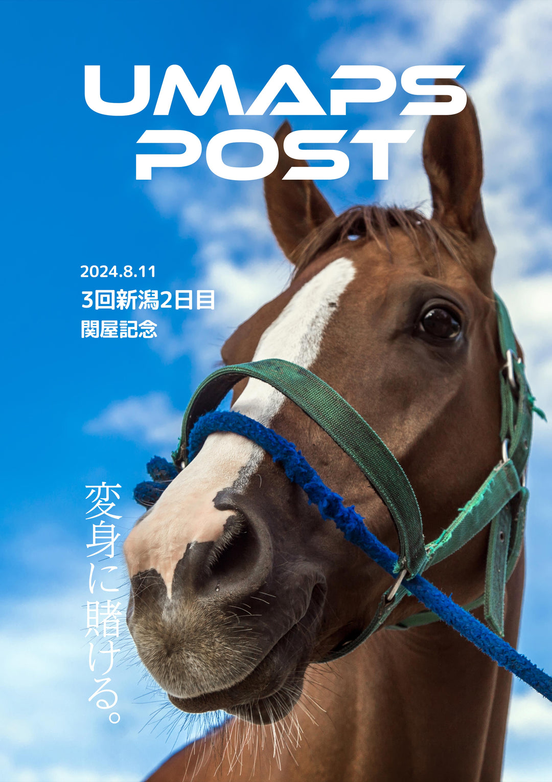 2024年8月11日 - 新潟｜UMAPS POST〔PDF競馬新聞〕スピード指数馬柱