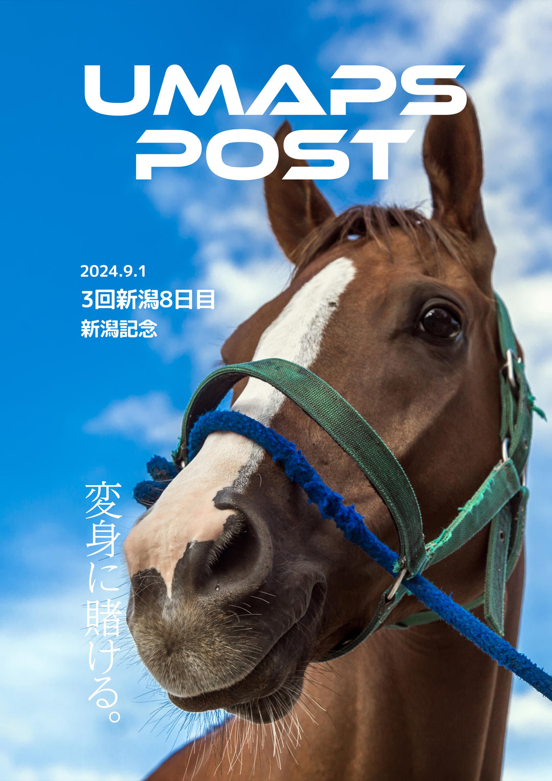 2024年9月1日 - 新潟｜UMAPS POST〔PDF競馬新聞〕スピード指数馬柱