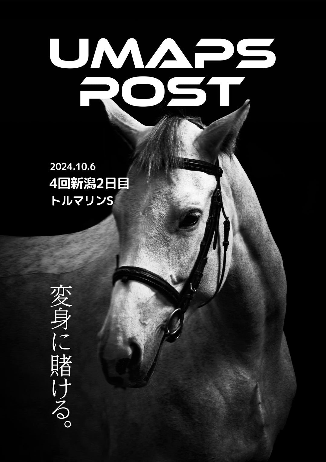 2024年10月6日 - 新潟｜UMAPS POST〔PDF競馬新聞〕スピード指数出馬表