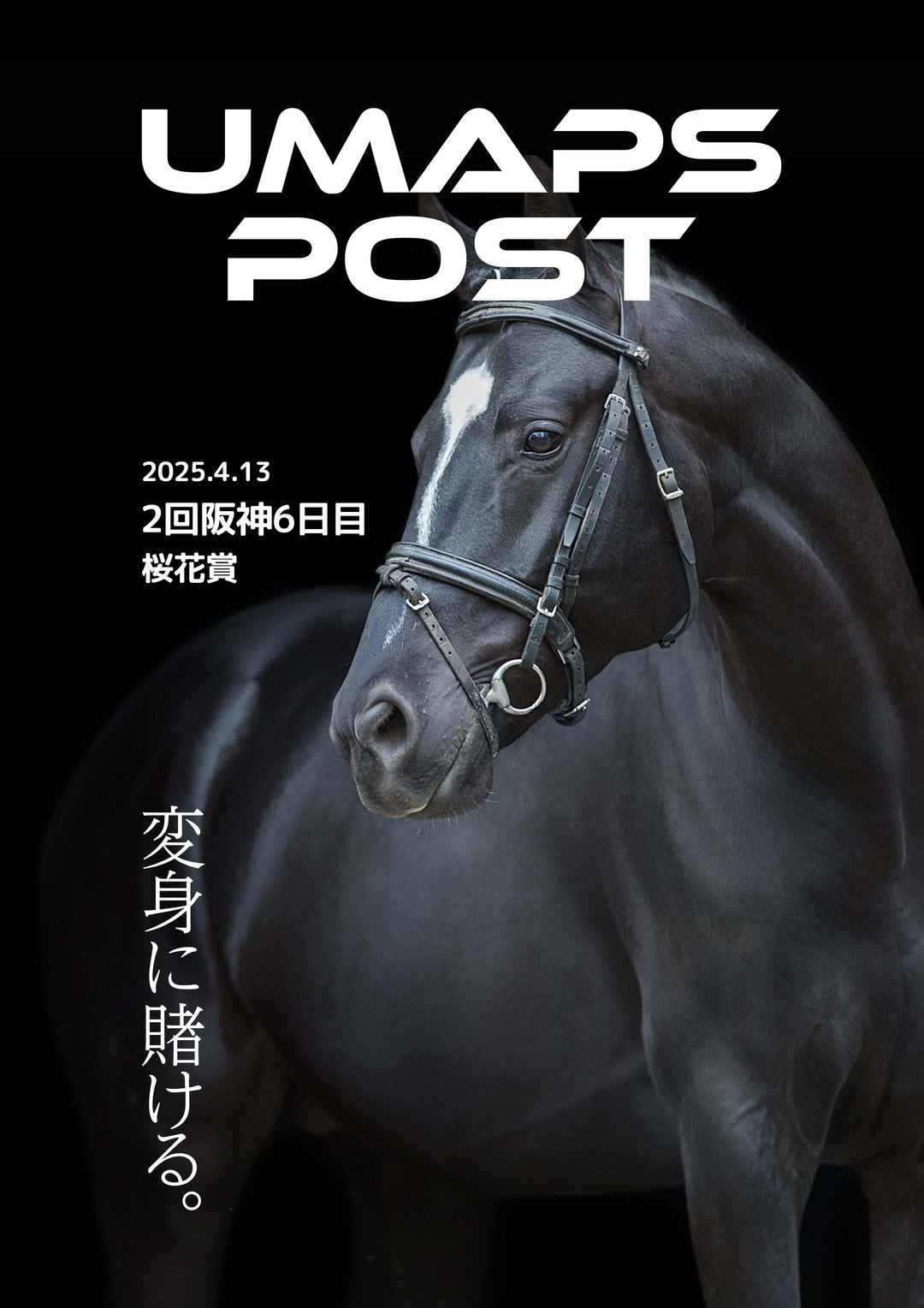 2025年4月13日 - 阪神｜UMAPS POST〔PDF競馬新聞〕スピード指数出馬表