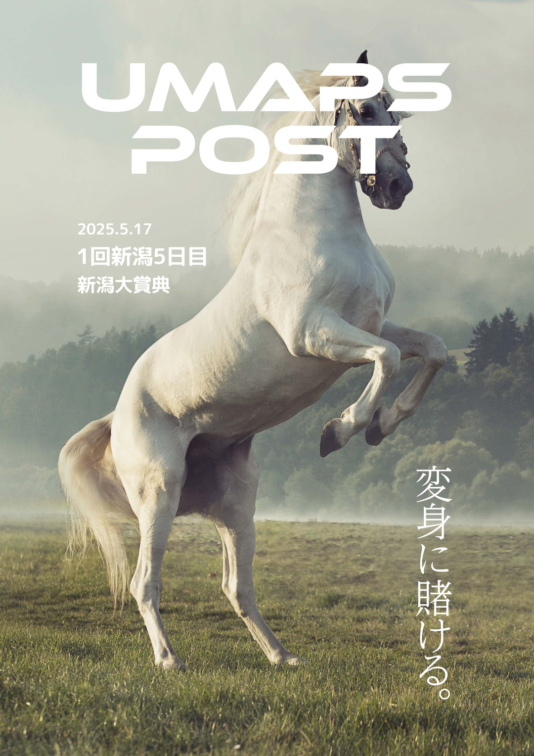 2025年5月17日 - 新潟｜UMAPS POST〔PDF競馬新聞〕スピード指数出馬表