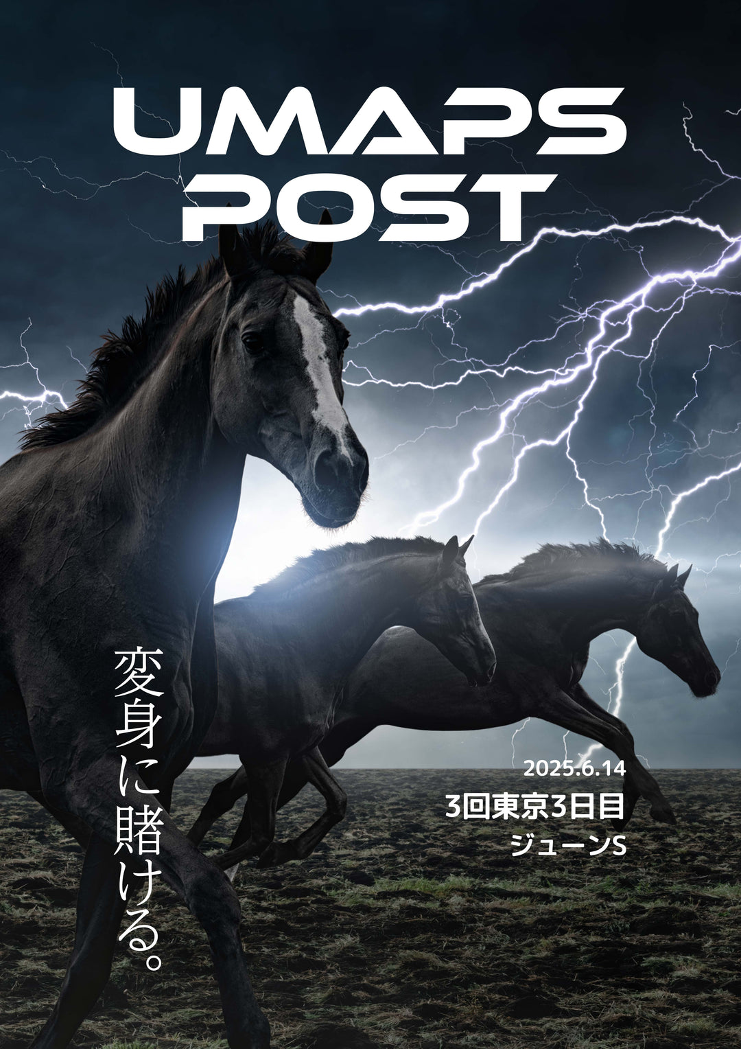 2025年6月14日 - 東京｜UMAPS POST〔PDF競馬新聞〕スピード指数出馬表