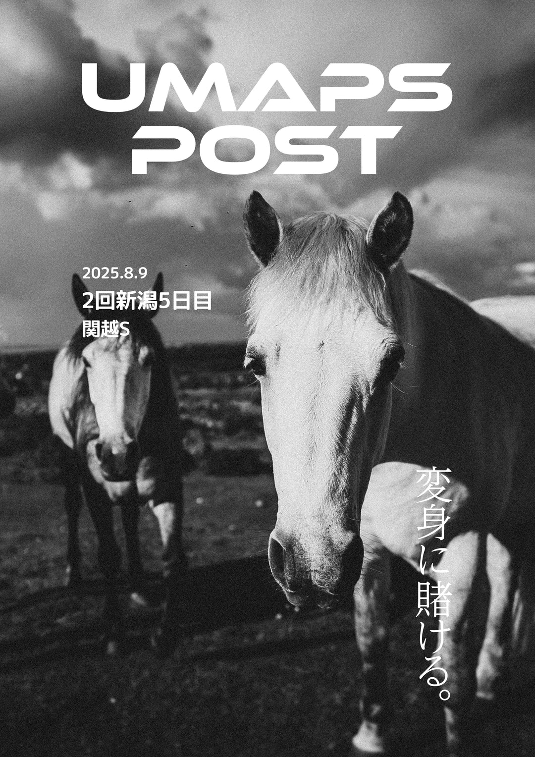 2025年8月9日 - 新潟｜UMAPS POST〔PDF競馬新聞〕スピード指数出馬表
