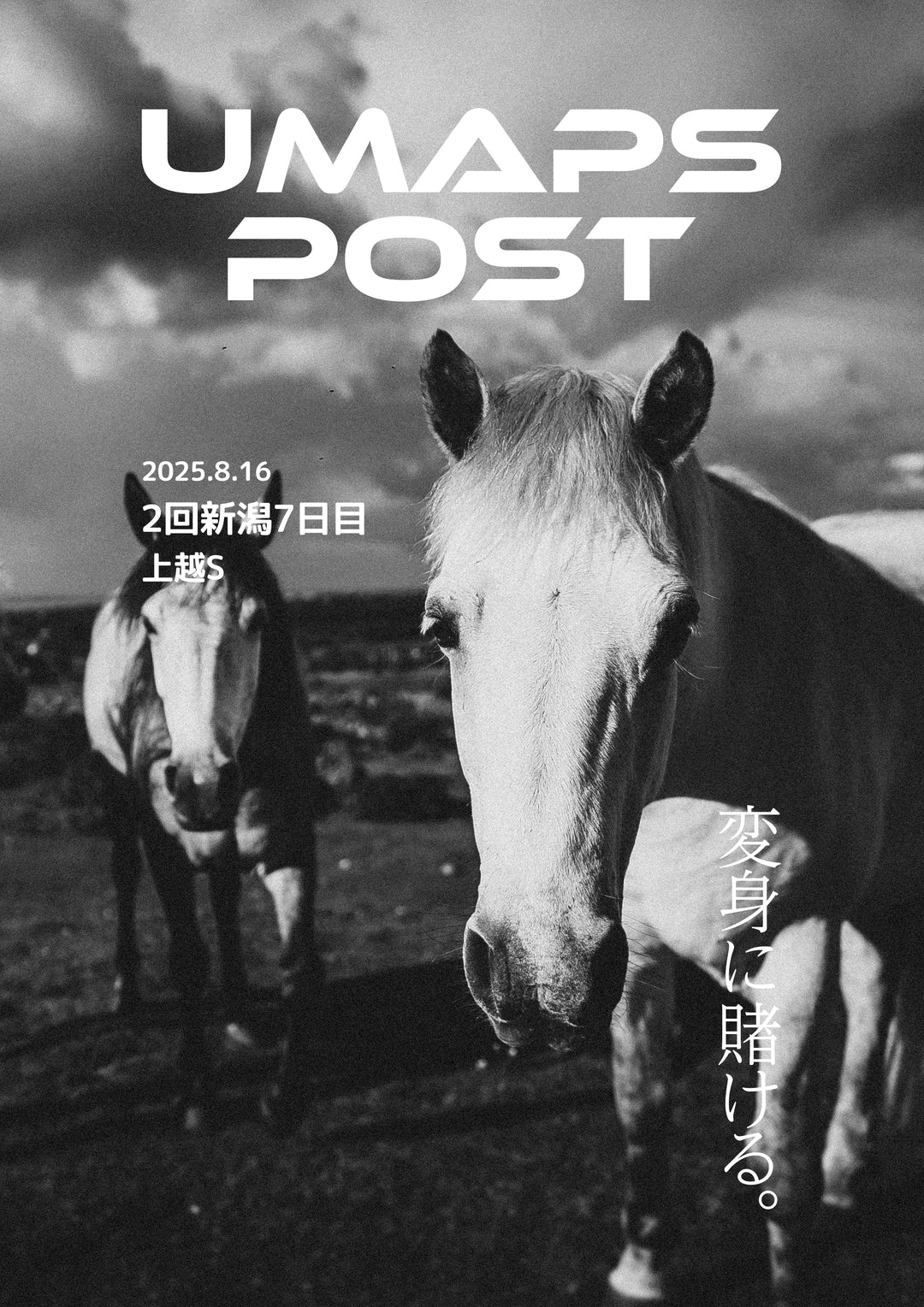 2025年8月16日 - 新潟｜UMAPS POST〔PDF競馬新聞〕スピード指数出馬表