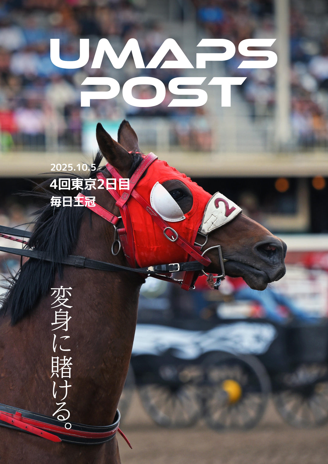 2025年10月5日 - 東京｜UMAPS POST〔PDF競馬新聞〕スピード指数出馬表