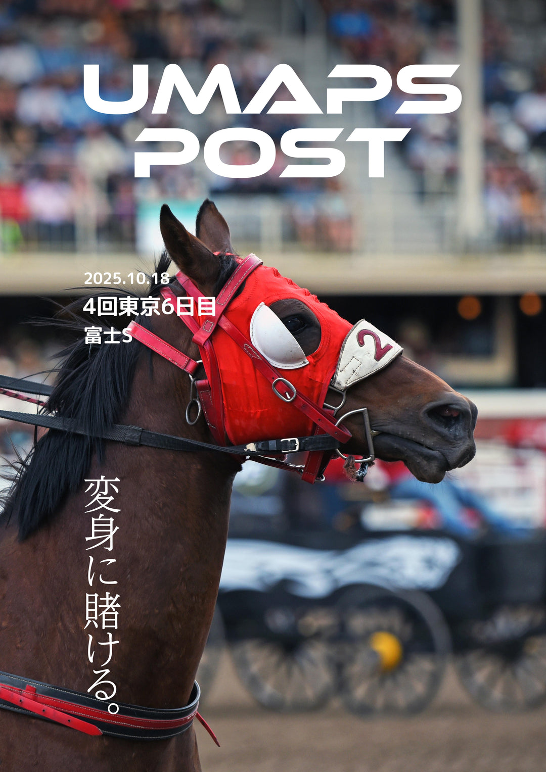 2025年10月18日 - 東京｜UMAPS POST〔PDF競馬新聞〕スピード指数出馬表