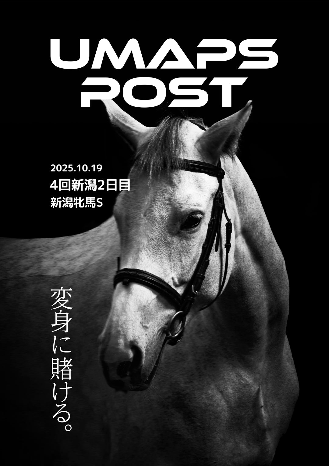 2025年10月19日 - 新潟｜UMAPS POST〔PDF競馬新聞〕スピード指数出馬表