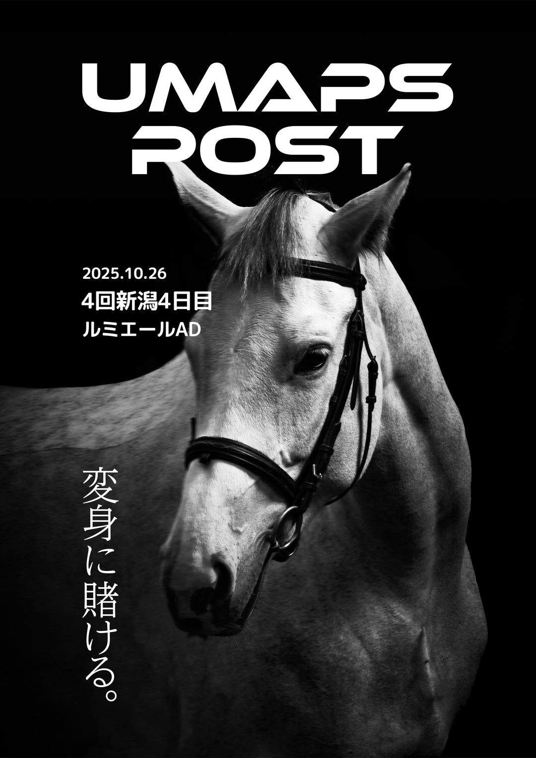 2025年10月26日 - 新潟｜UMAPS POST〔PDF競馬新聞〕スピード指数出馬表