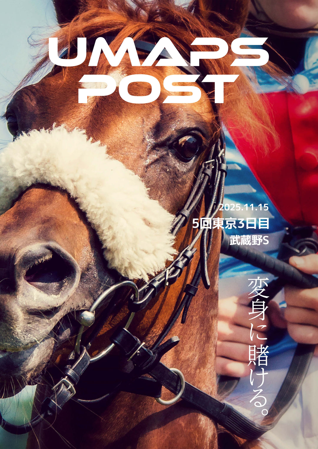 2025年11月15日 - 東京｜UMAPS POST〔PDF競馬新聞〕スピード指数出馬表