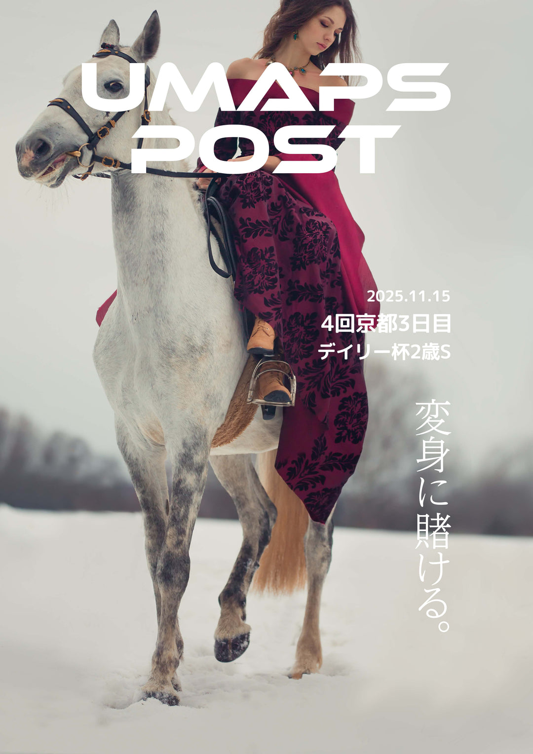 2025年11月15日 - 京都｜UMAPS POST〔PDF競馬新聞〕スピード指数出馬表