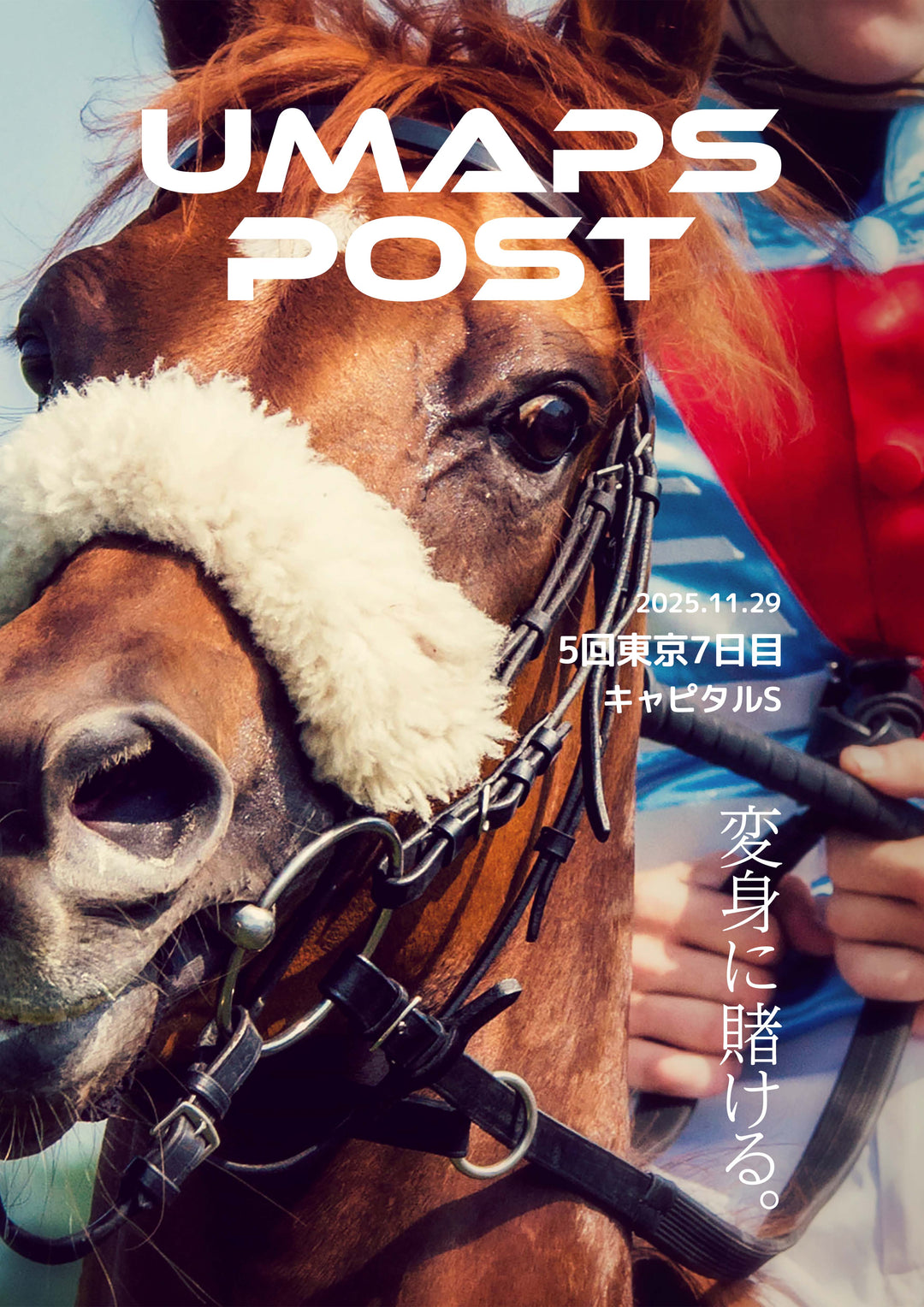 2025年11月29日 - 東京｜UMAPS POST〔PDF競馬新聞〕スピード指数出馬表