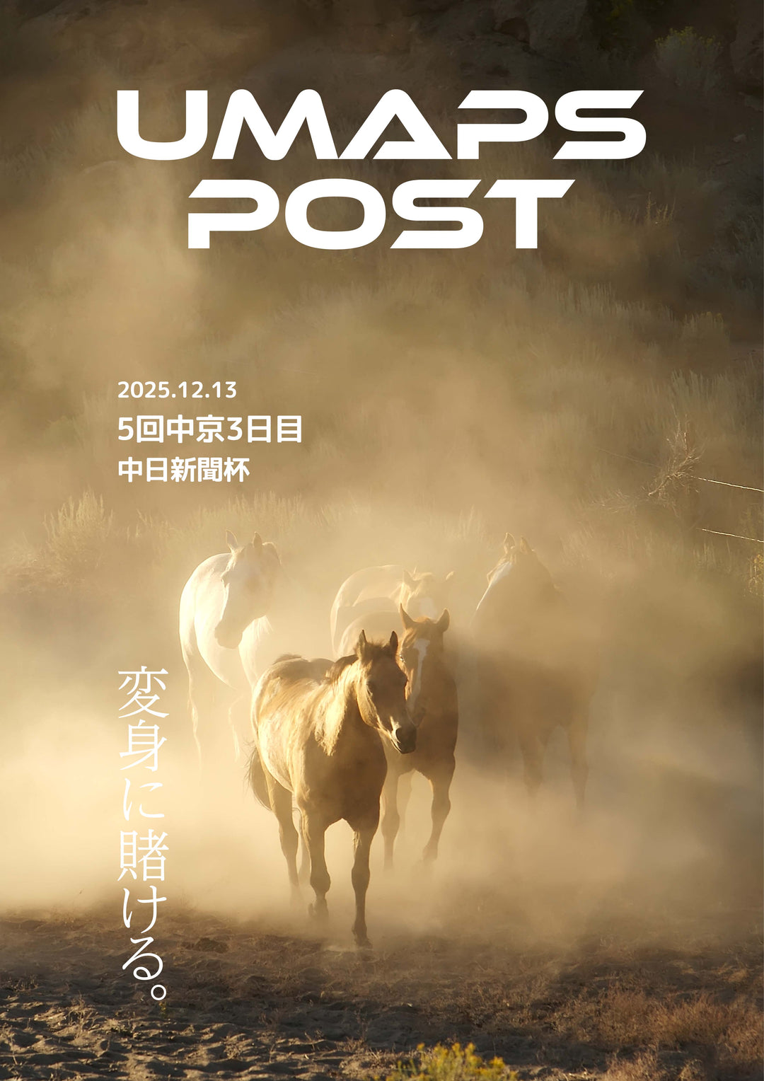 2025年12月13日 - 中京｜UMAPS POST〔PDF競馬新聞〕スピード指数出馬表