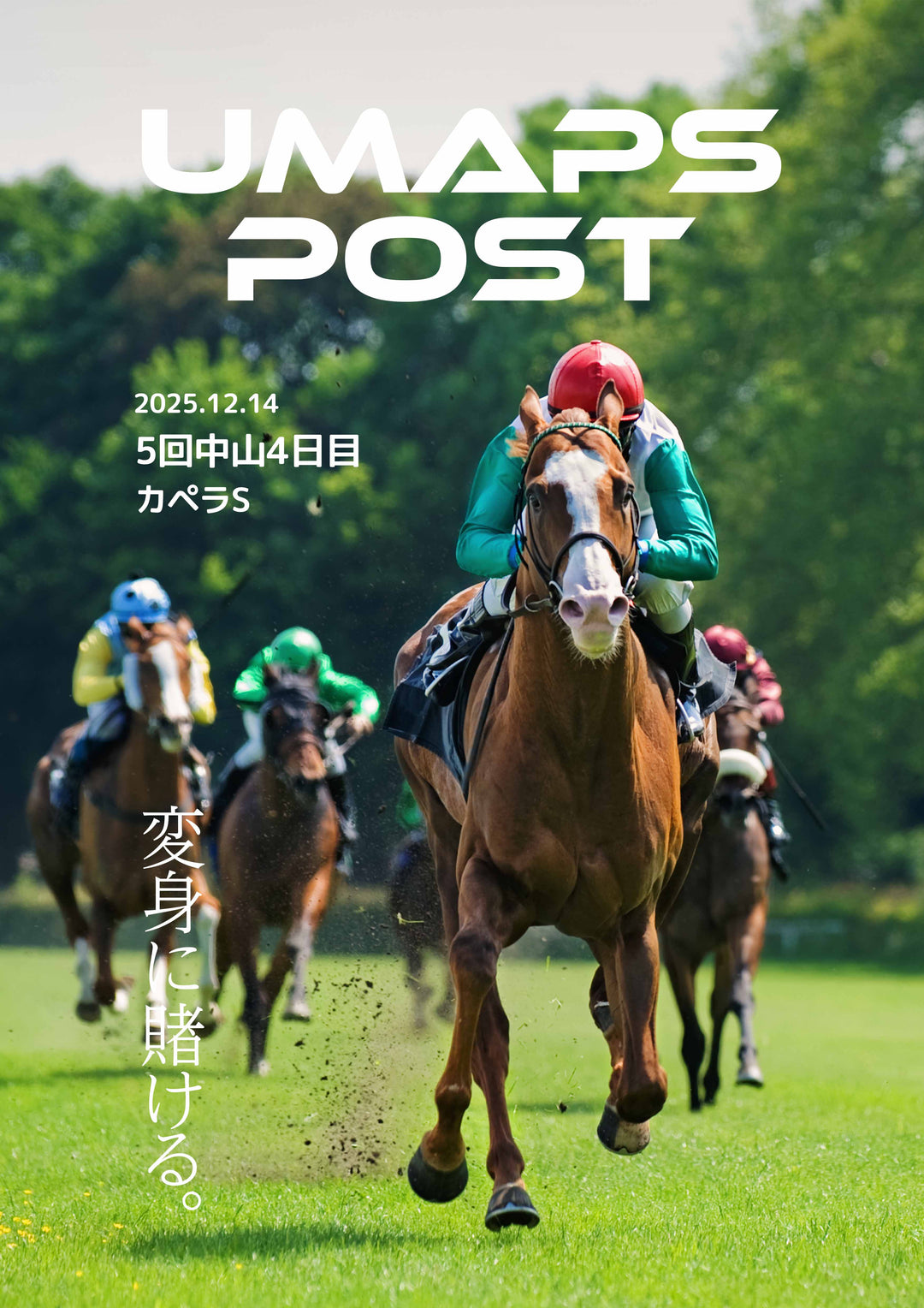2025年12月14日 - 中山｜UMAPS POST〔PDF競馬新聞〕スピード指数出馬表