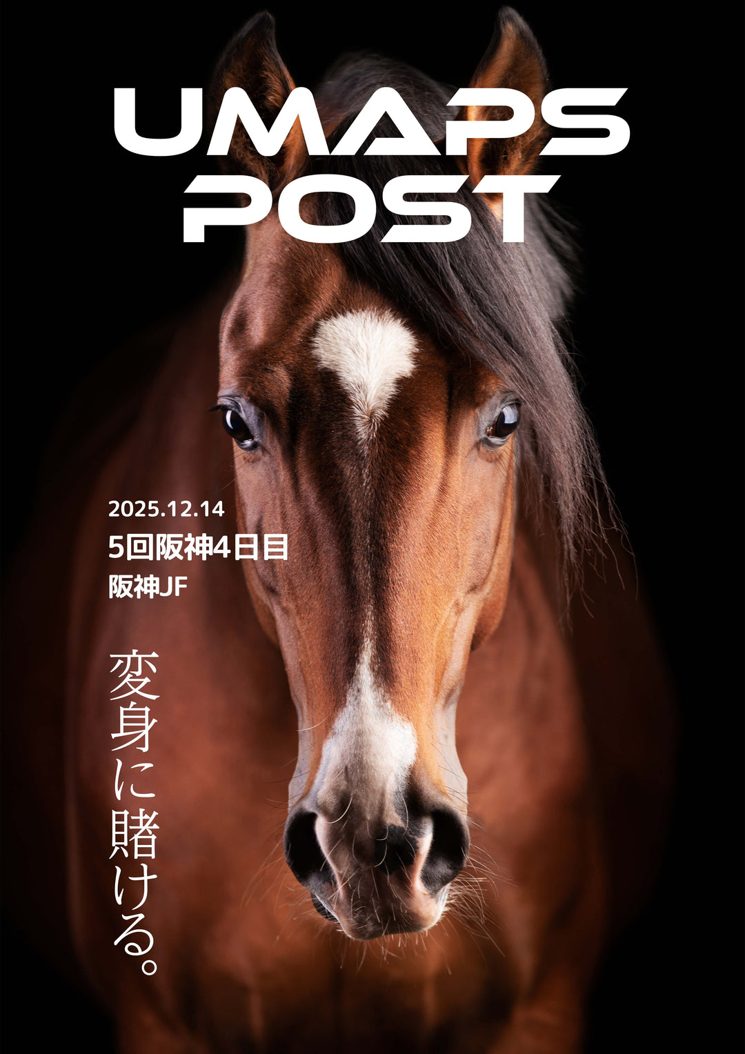 2025年12月14日 - 阪神｜UMAPS POST〔PDF競馬新聞〕スピード指数出馬表