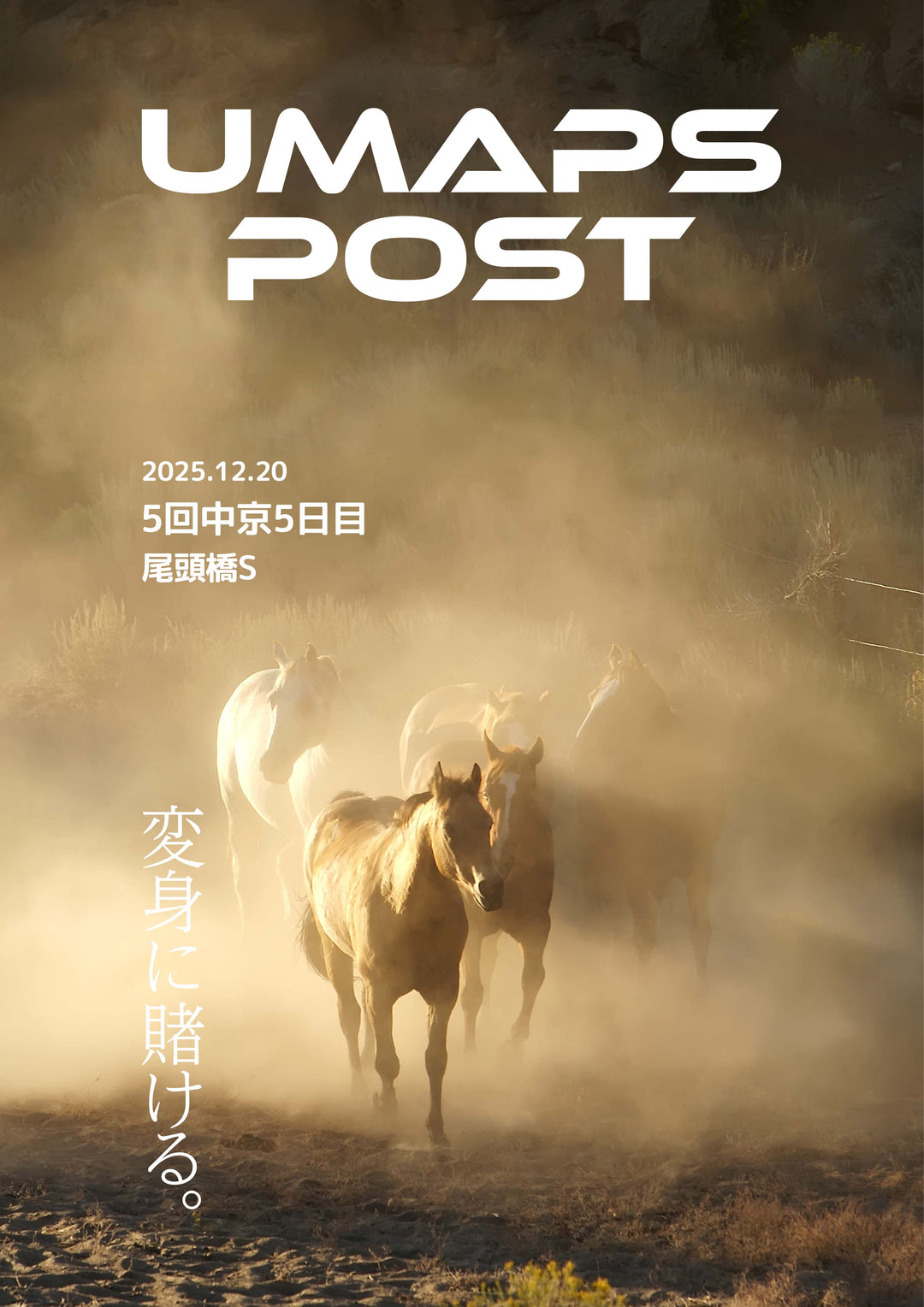 2025年12月20日 - 中京｜UMAPS POST〔PDF競馬新聞〕スピード指数出馬表