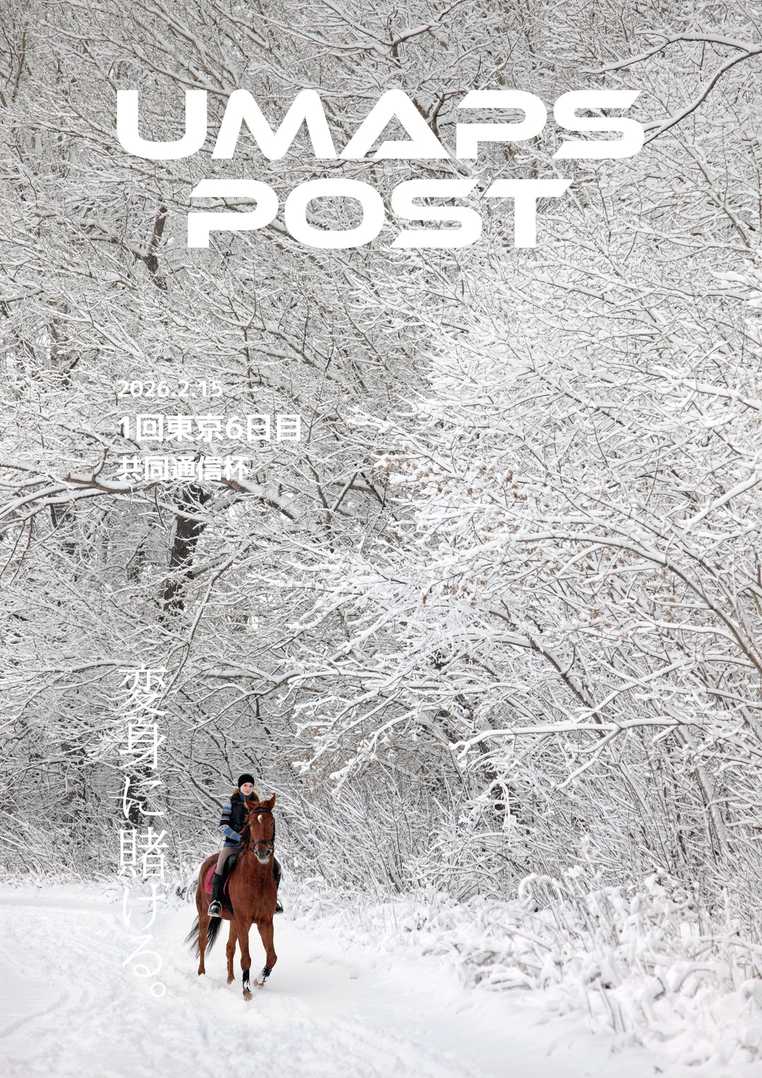 2026年2月15日 - 東京｜UMAPS POST〔PDF競馬新聞〕スピード指数出馬表