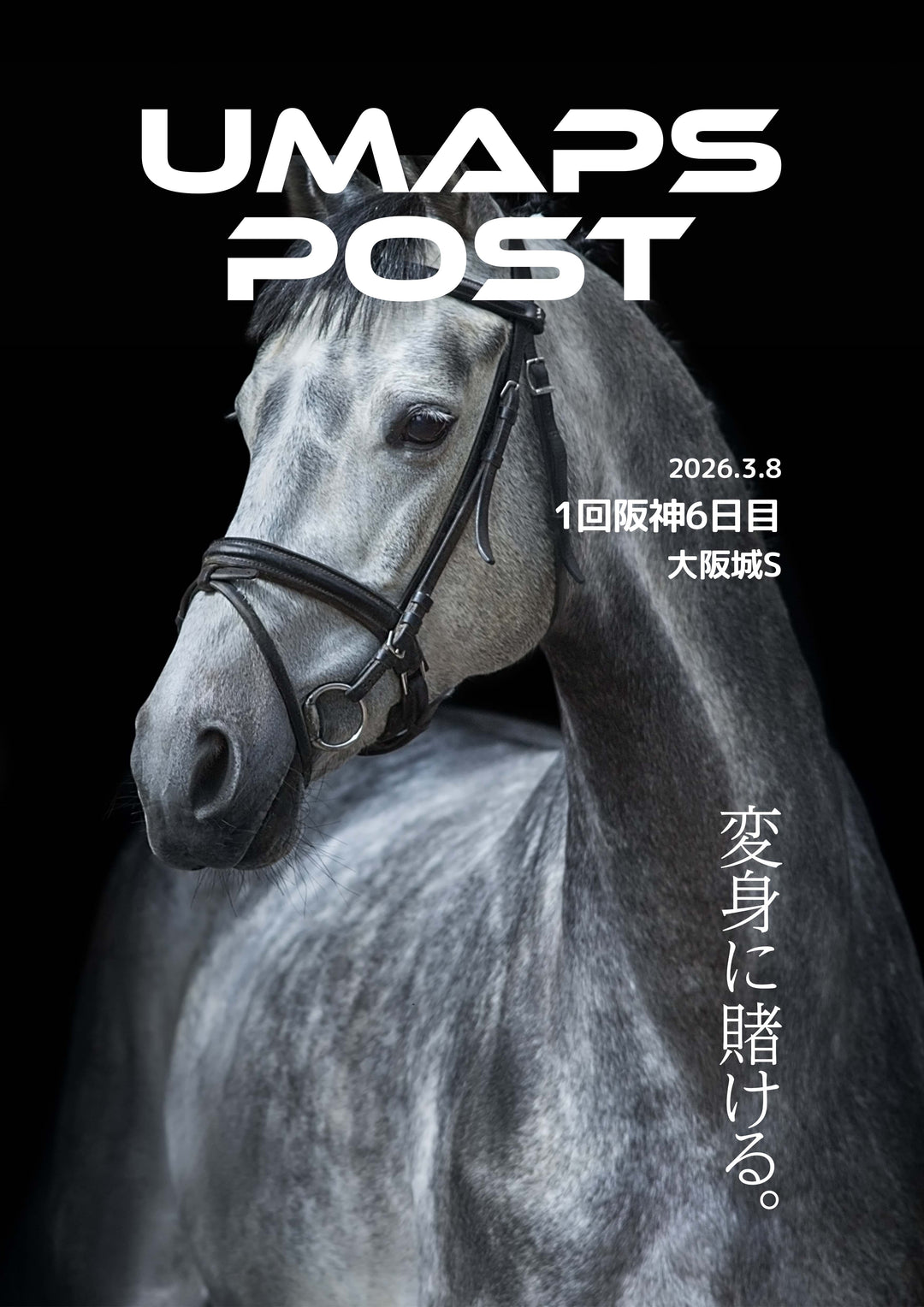 2026年3月8日 - 阪神｜UMAPS POST〔PDF競馬新聞〕スピード指数出馬表
