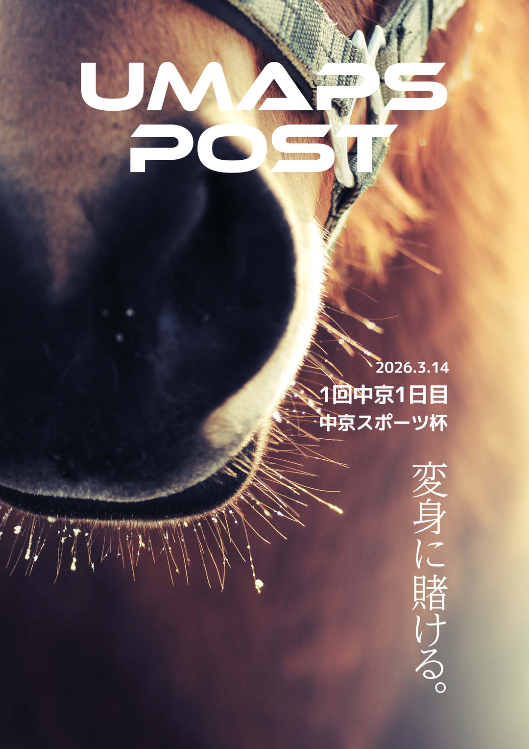 2026年3月14日 - 中京｜UMAPS POST〔PDF競馬新聞〕スピード指数出馬表