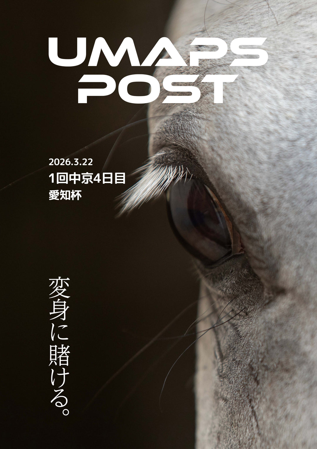 2026年3月22日 - 中京｜UMAPS POST〔PDF競馬新聞〕スピード指数出馬表