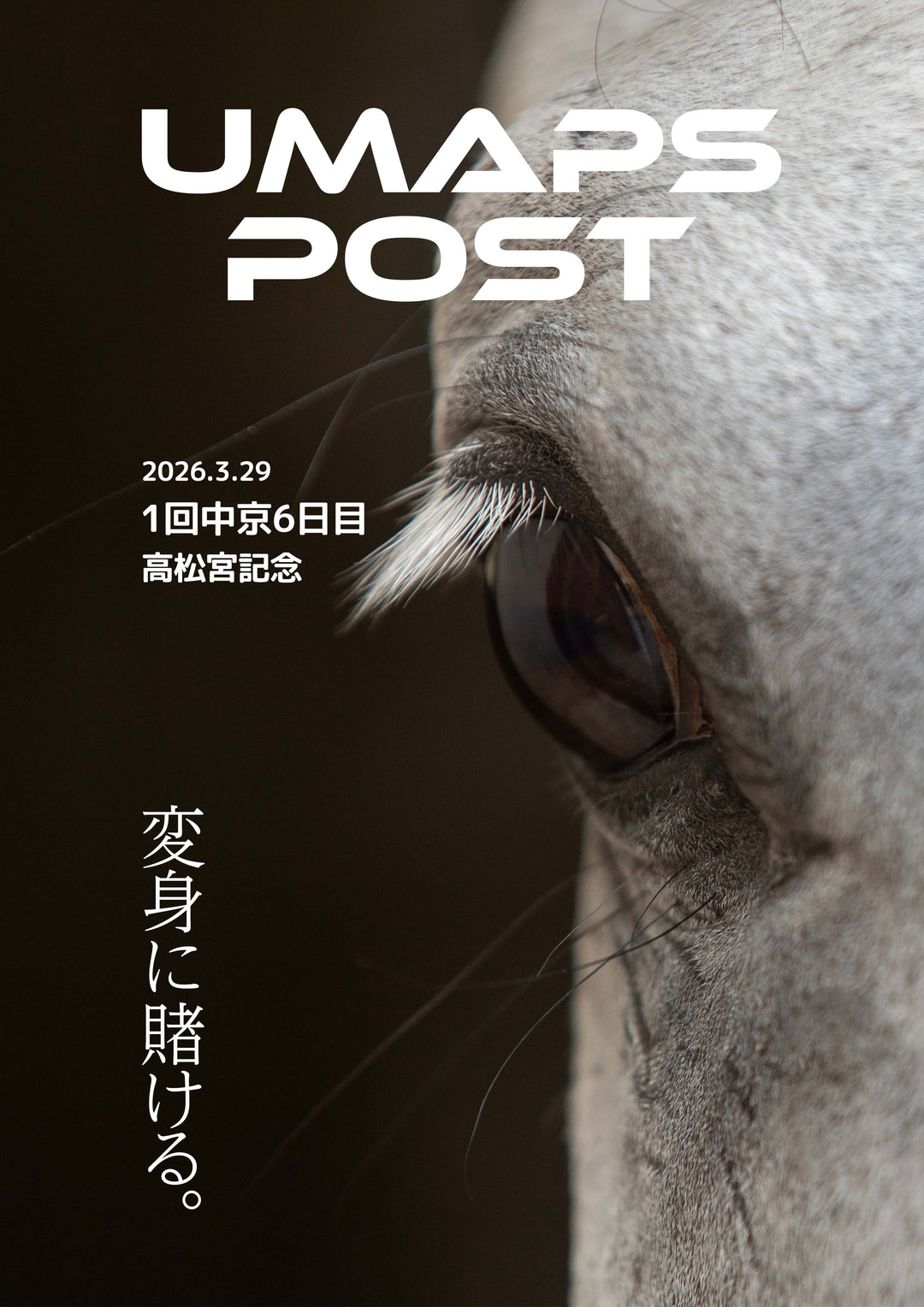 2026年3月29日 - 中京｜UMAPS POST〔PDF競馬新聞〕スピード指数出馬表