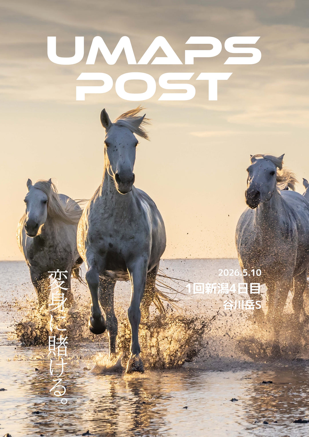 2026年5月10日 - 新潟｜UMAPS POST〔PDF競馬新聞〕スピード指数出馬表