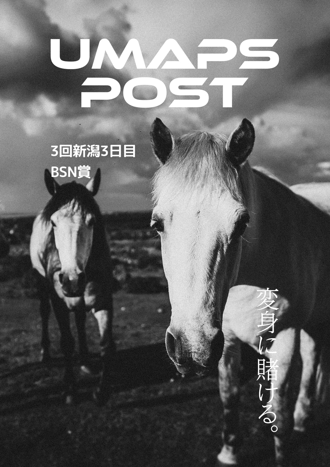 2026年8月29日 - 新潟｜UMAPS POST〔PDF競馬新聞〕スピード指数出馬表