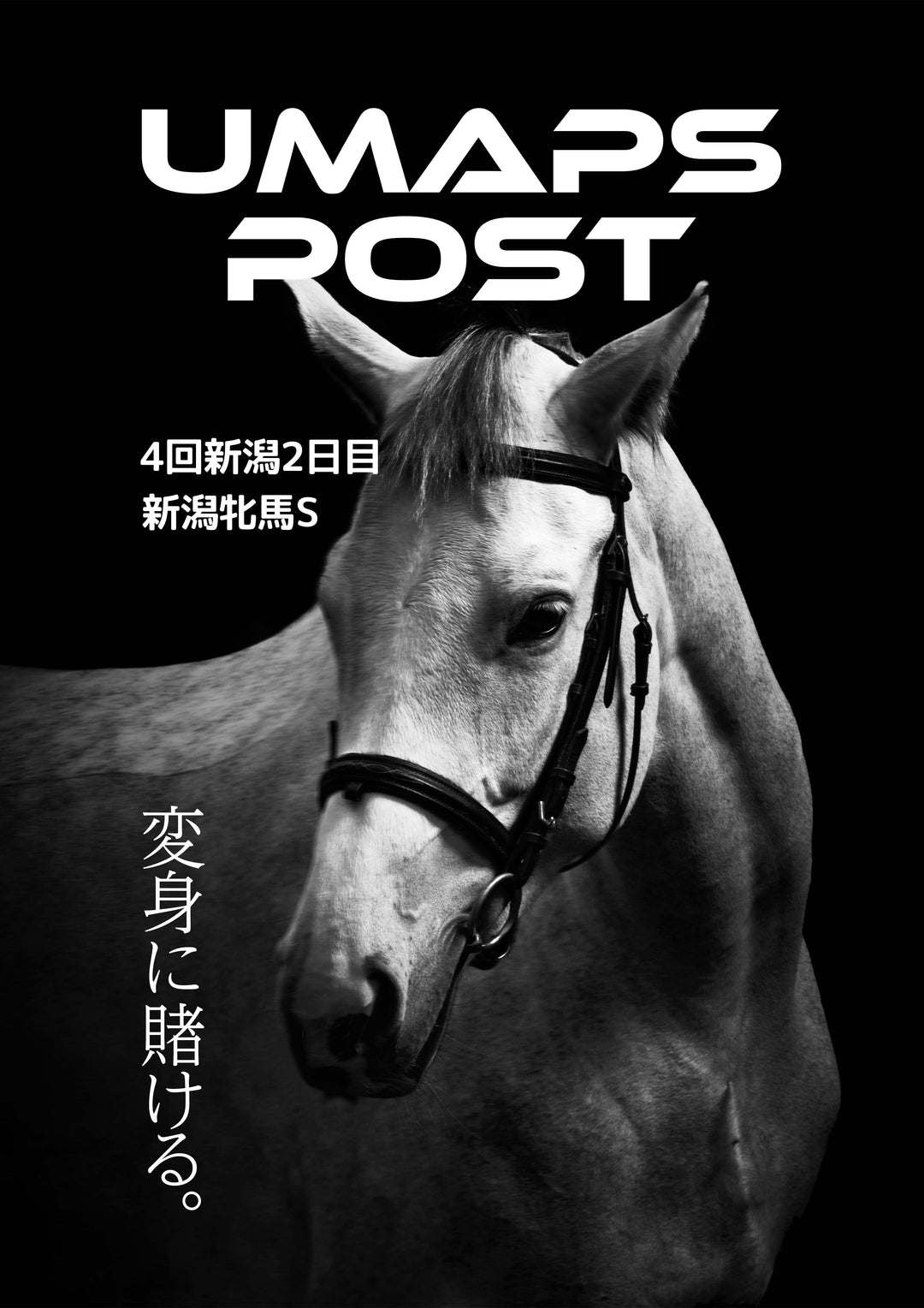 2026年10月18日 - 新潟｜UMAPS POST〔PDF競馬新聞〕スピード指数出馬表